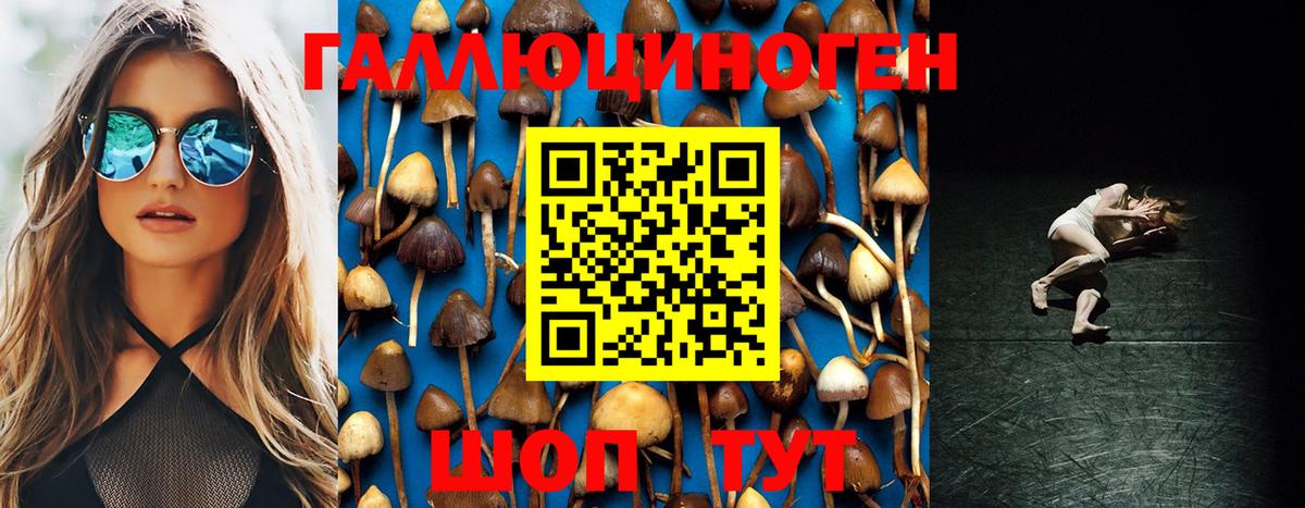Касимов  сколько стоит  Галлюциногенные грибы Psilocybine cubensis  Вход с VPN  Псилоцибиновые грибы Psilocybine cubensis 